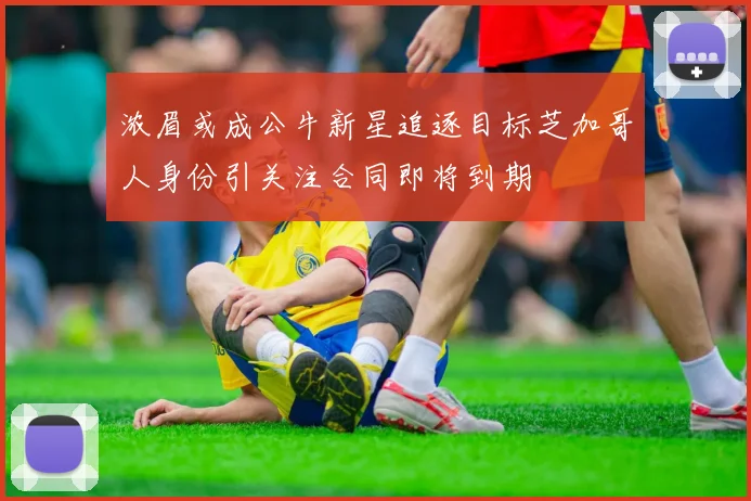 浓眉或成公牛新星追逐目标芝加哥人身份引关注合同即将到期